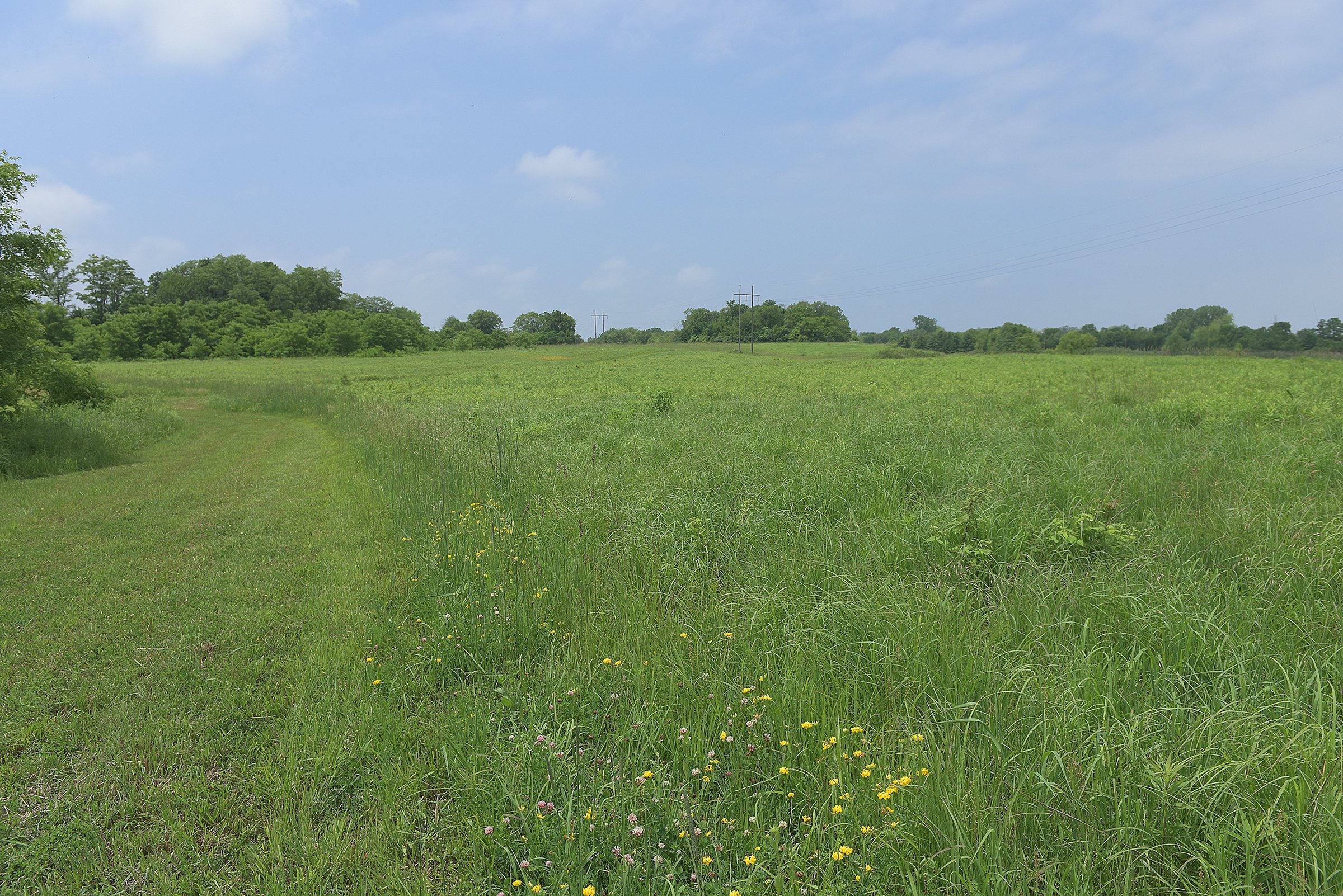Lake County, Indiana farmland - LAND AUCTION - 147+/- ACRES OFFERED IN 3 TRACTS IN LAKE COUNTY, INDIANA